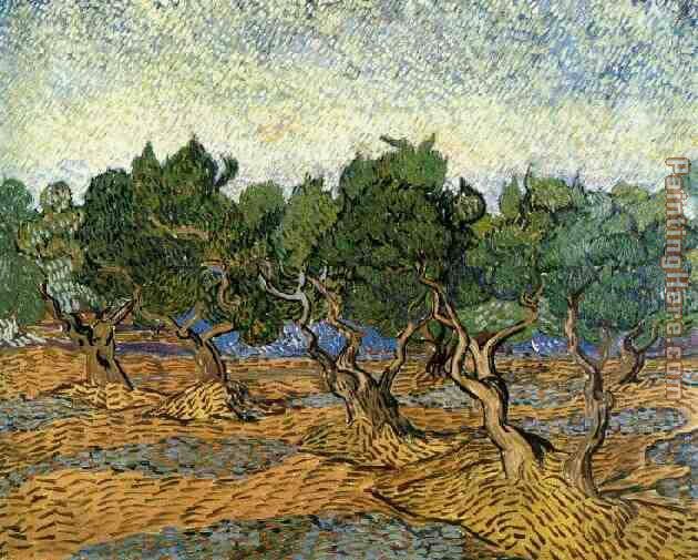 Vincent van Gogh Les oliviers 1 1889